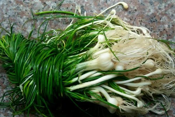 野蒜能不能用冰箱保存，冷藏室的温度需保持在4℃左右