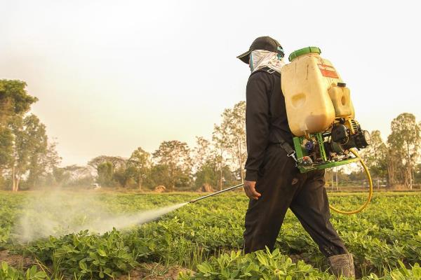 蔬菜常用的除草剂，常见的有施田补、赛克津等