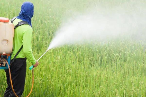 蔬菜常用的除草剂，常见的有施田补、赛克津等