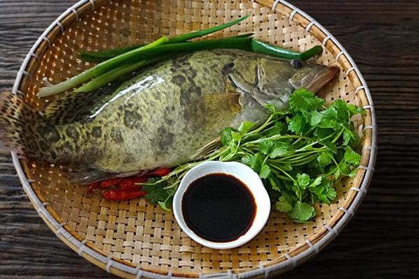 青斑鱼的产地，主产于东海、南海等地方