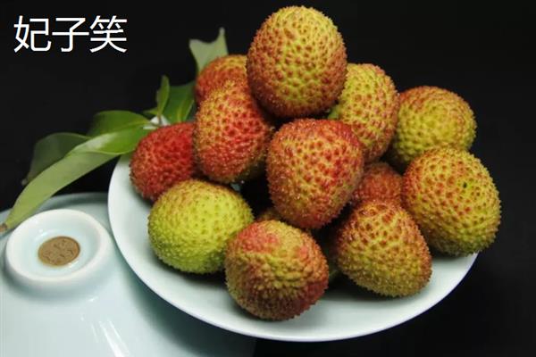 中国十大荔枝是哪些，挂绿、妃子笑、糯米糍等品种榜上有名