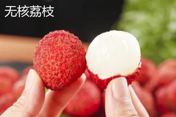 中国十大荔枝是哪些，挂绿、妃子笑、糯米糍等品种榜上有名