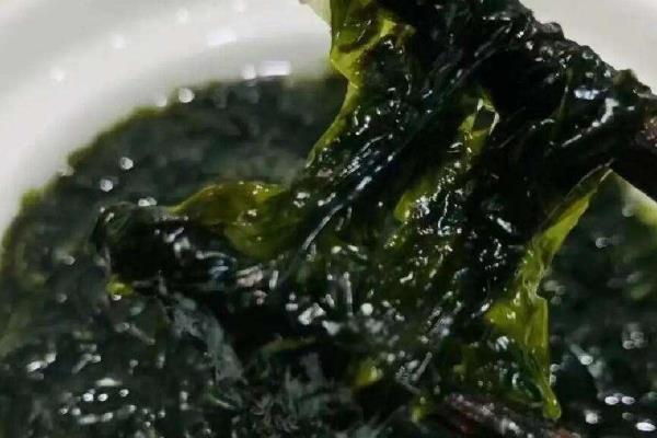 头水紫菜的产地，主要分布在福建、浙南等沿海地区