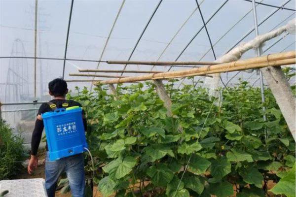 枯草芽孢杆菌的用法用量，可用于拌种、种子包衣等