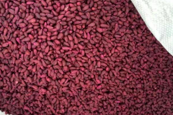 枯草芽孢杆菌的用法用量，可用于拌种、种子包衣等