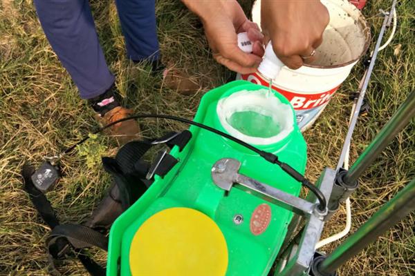 甲霜恶霉灵和恶霉灵能不能混用，二者一起使用可以互相增效