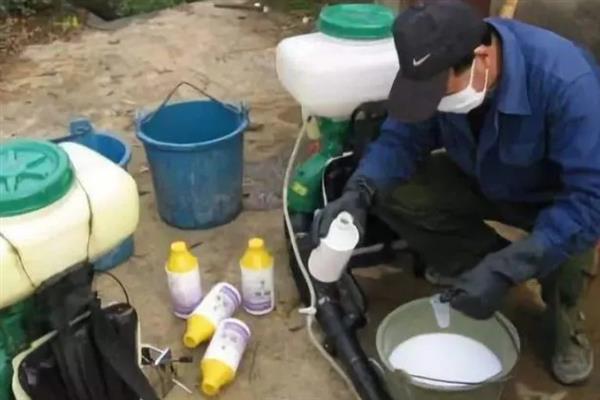 甲霜恶霉灵和恶霉灵能不能混用，二者一起使用可以互相增效