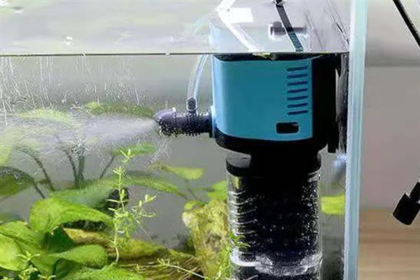 鱼缸水要不要盖过水泵，如果是潜水泵则要盖过