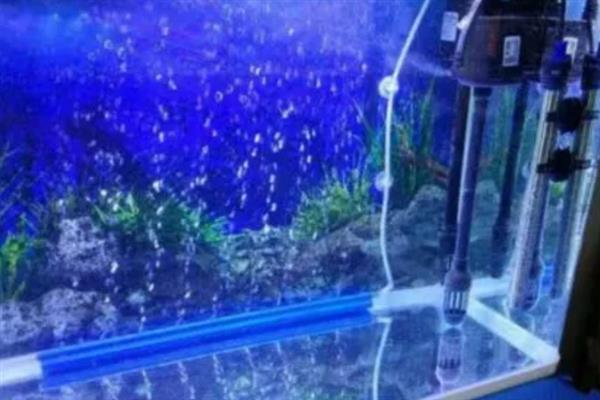 鱼缸水要不要盖过水泵，如果是潜水泵则要盖过