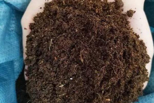 红掌盆栽的养殖方式，到秋冬季节后10天浇水一次