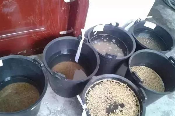磷酸二氢钾的使用方法，以喷施、蘸根、浸种和拌种为主