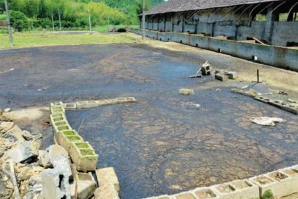 养猪场未经处理的粪水有害吗,会危害人体健康并污染环境