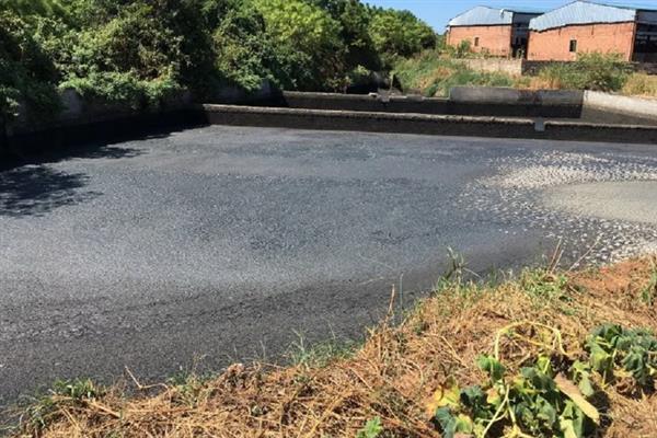 养猪场未经处理的粪水有害吗,会危害人体健康并污染环境