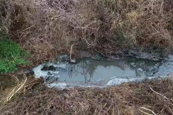 养猪场未经处理的粪水有害吗,会危害人体健康并污染环境