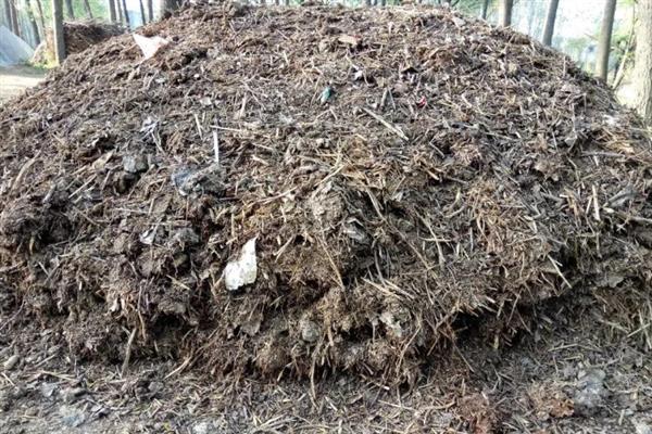 养猪场未经处理的粪水有害吗,会危害人体健康并污染环境