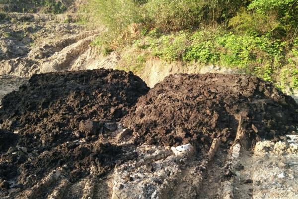 养猪场未经处理的粪水有害吗,会危害人体健康并污染环境