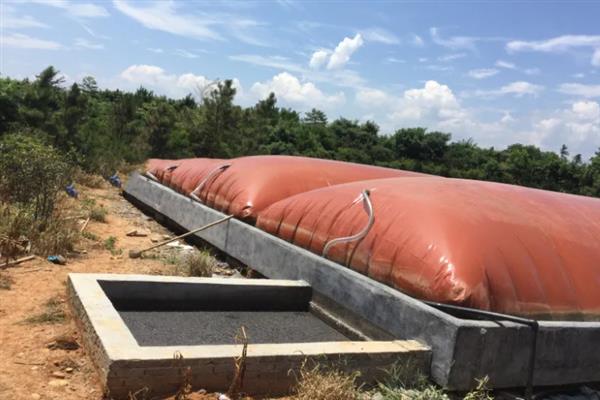 养猪场未经处理的粪水有害吗,会危害人体健康并污染环境