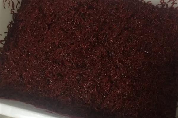 养殖红虫的要点,每隔2-3天喂一次