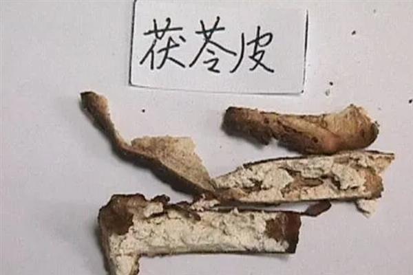 茯苓的简介，是一种寄生在松树根上的菌类植物