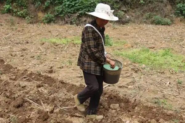 春天有哪些主要的农活，常见的有耕地、播种等