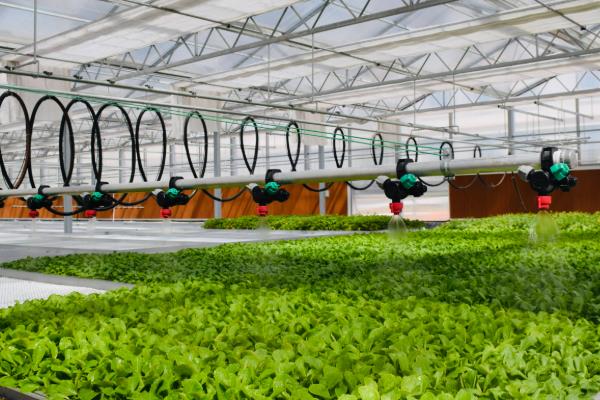 春天有哪些主要的农活，常见的有耕地、播种等