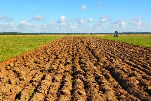 春天有哪些主要的农活，常见的有耕地、播种等