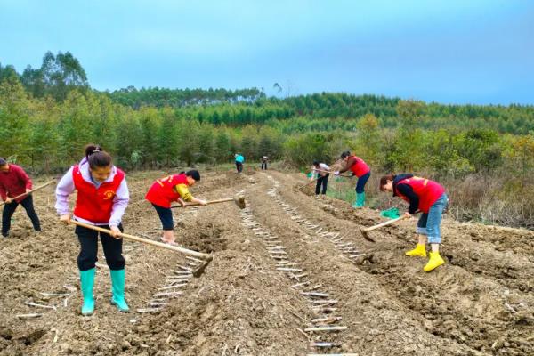 春天有哪些主要的农活，常见的有耕地、播种等