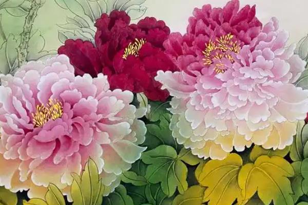 牡丹的花语，红色寓意富贵和圆满