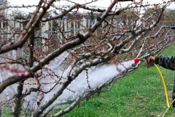 怎么使用甲基异柳磷,一般采取拌种、拌土、淋施等方式