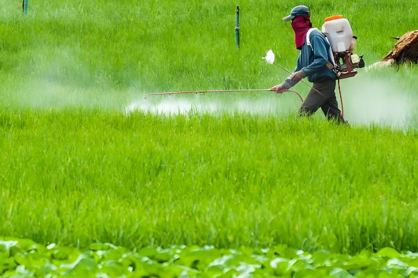 怎么使用甲基异柳磷,一般采取拌种、拌土、淋施等方式