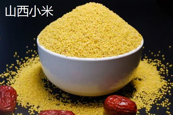 谷子的简介，去皮后俗称小米