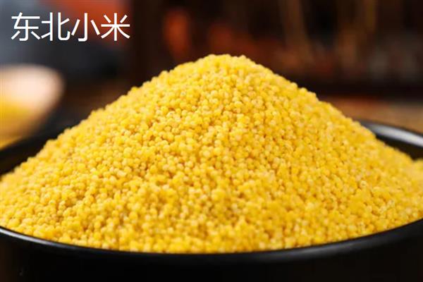 谷子的简介，去皮后俗称小米