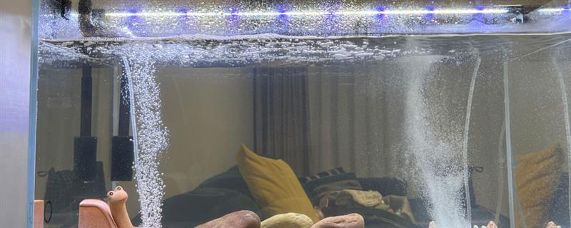 鱼缸水要不要盖过水泵，如果是潜水泵则要盖过