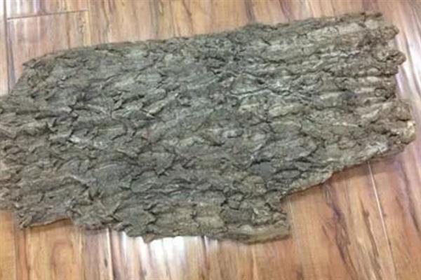 用水苔和树皮混合栽种蝴蝶兰的方法，需洗净消毒后再装盆栽植