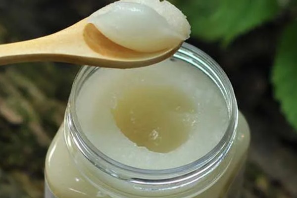 苕子蜜简介,是一等蜂蜜