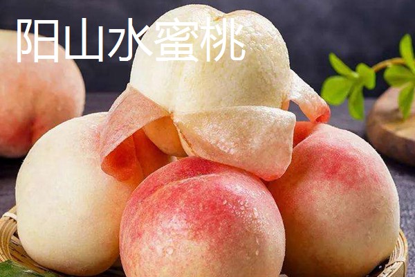无锡水蜜桃有什么品种,春蕾、春花等品种的品质较好
