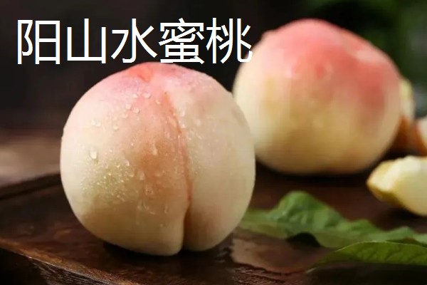 无锡水蜜桃有什么品种,春蕾、春花等品种的品质较好
