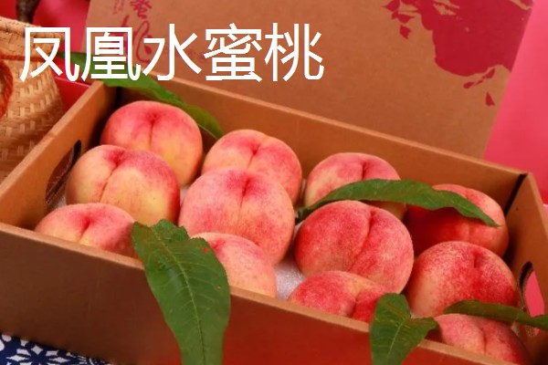 无锡水蜜桃有什么品种,春蕾、春花等品种的品质较好