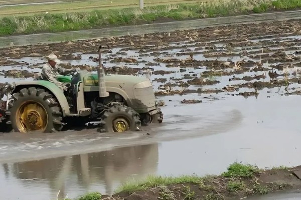 水稻机械化插秧的技术,插秧作业前要检查调试机器