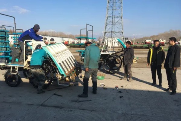 水稻机械化插秧的技术,插秧作业前要检查调试机器