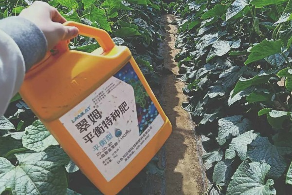 黄瓜施什么肥可以高产，可以施有机肥、叶面肥等