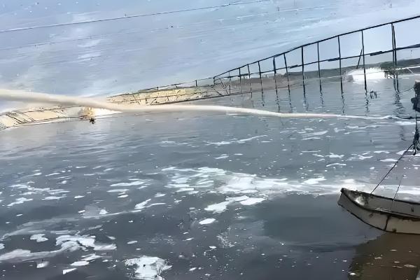 虾池虫子太多如何处理,需及时清除藻类