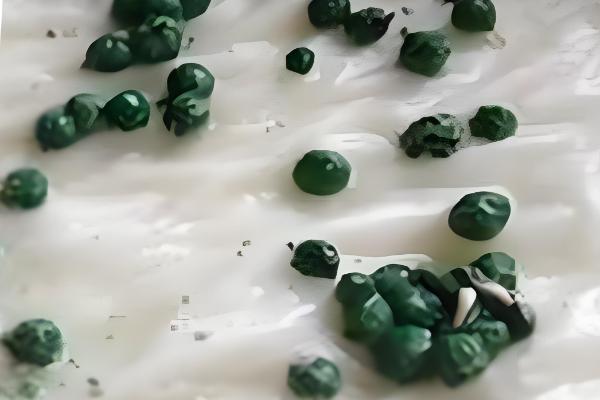 铜钱草结籽了如何处理，适合播种繁殖