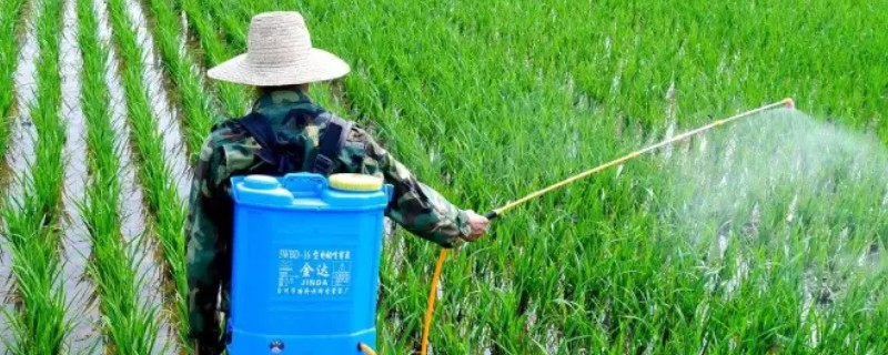 夏季使用农药的注意问题，要严格掌握施药量
