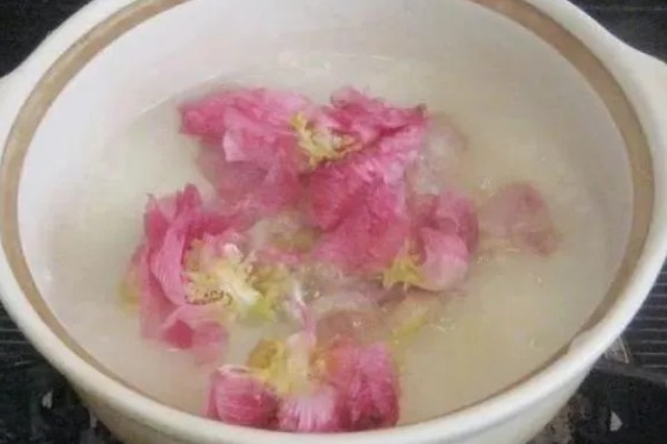 芙蓉花有什么花语,代表纯洁、富贵吉祥等含义