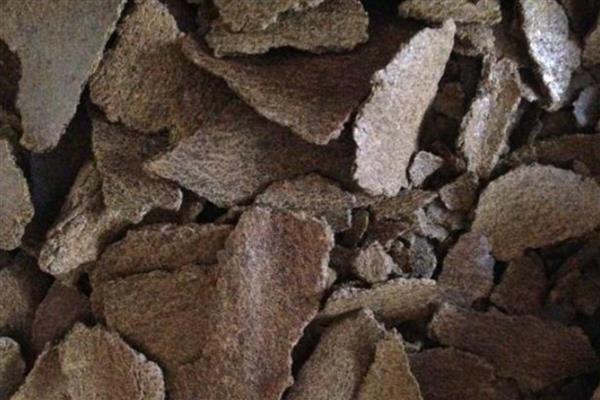 榨油用生花生还是熟花生,用生花生