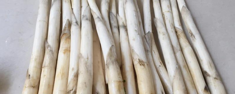 象牙菜市场上价格贵吗,市场价格在20-40元一斤