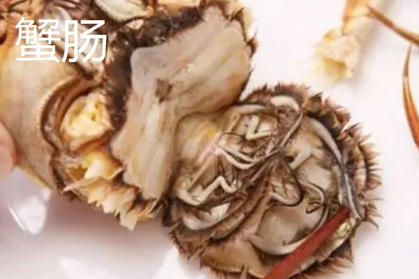 螃蟹哪些部位不能吃,蟹腮、蟹肠等器官都要去除