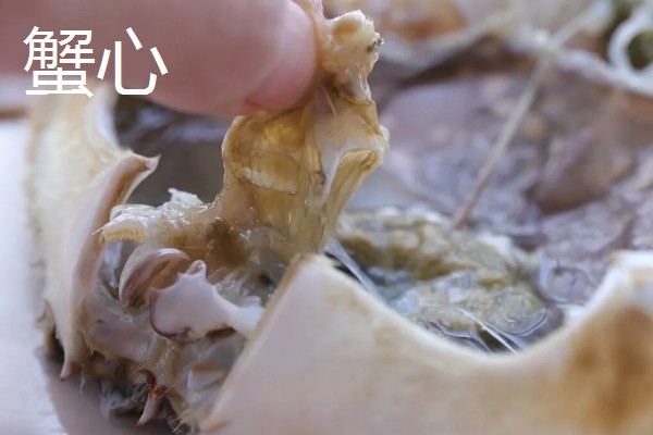 螃蟹哪些部位不能吃,蟹腮、蟹肠等器官都要去除