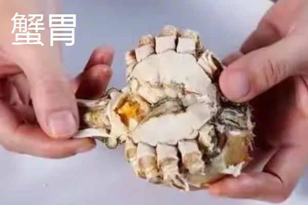 螃蟹哪些部位不能吃,蟹腮、蟹肠等器官都要去除
